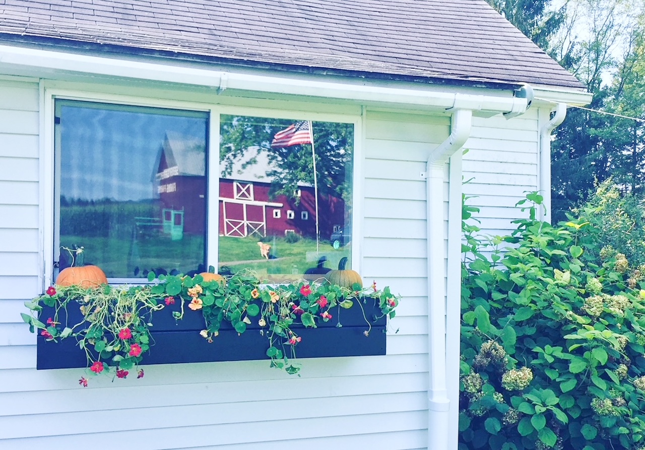 DIY Flower Box Fall Decoration